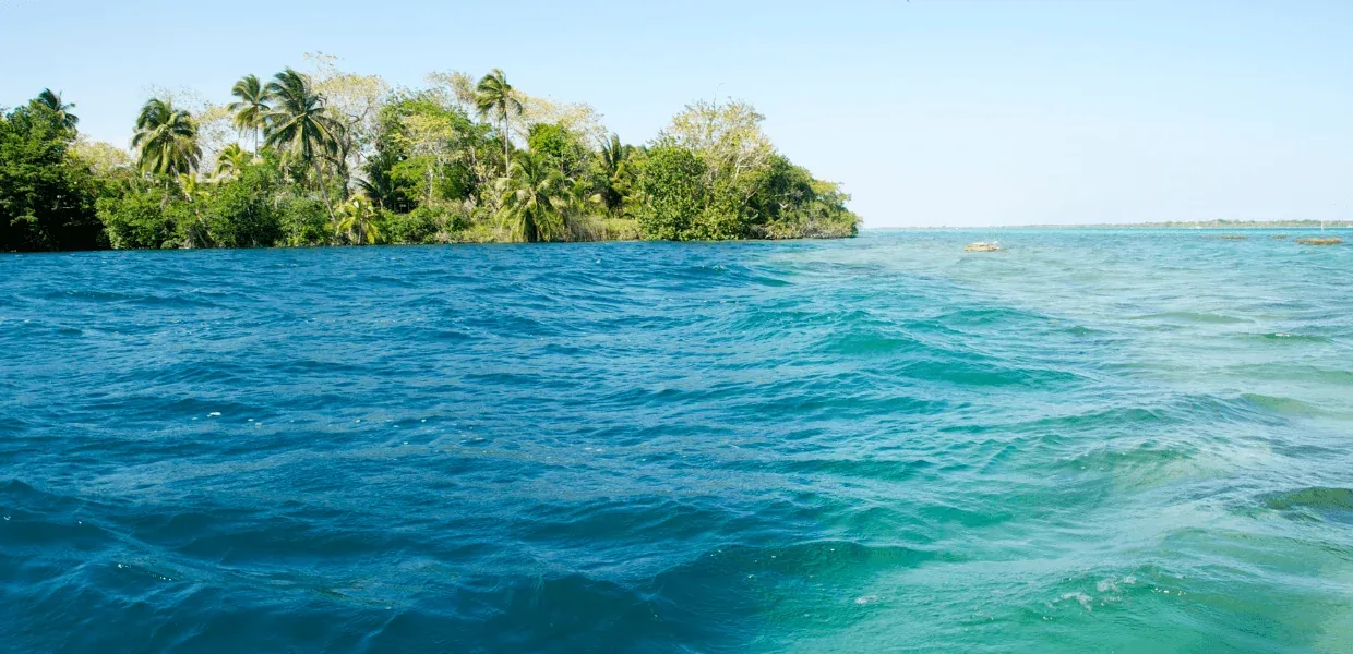 Cenote Esmeralda en Bacalar: por qué tiene ese color y qué lo hace tan especial